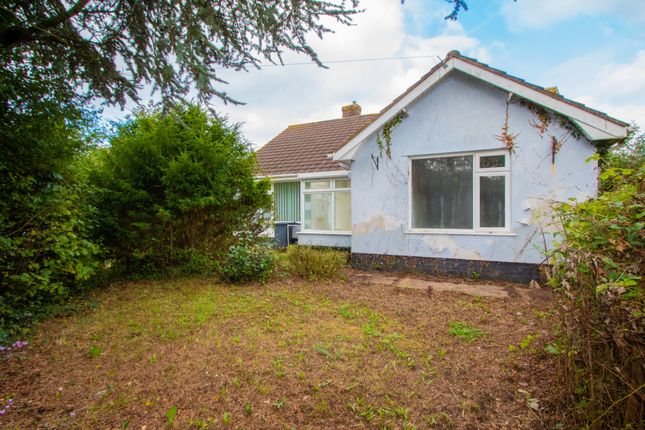 Talaton 3 bed detached bungalow for sale