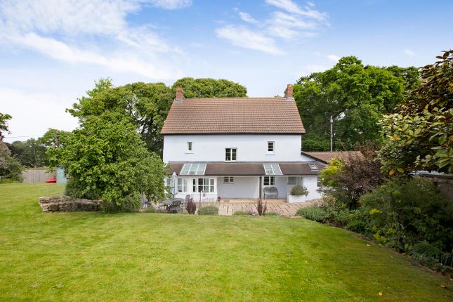 South Town, Kenton, EX6 4 bed detached house for sale