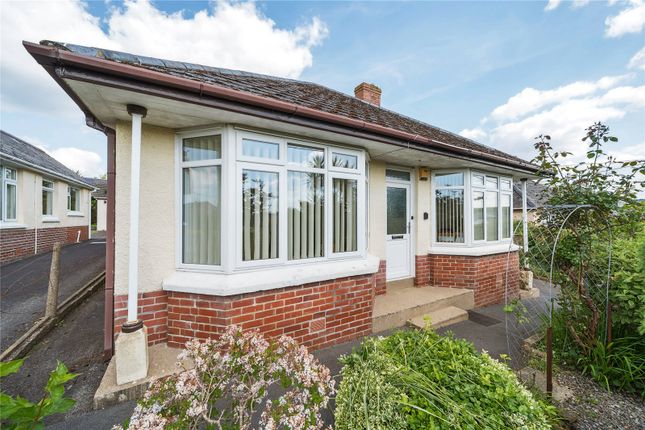 Tews Lane, Bickington, Barnstaple... 4 bed bungalow for sale