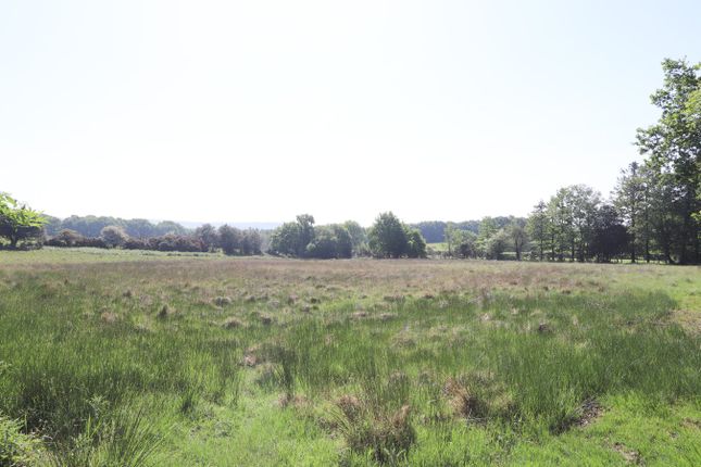 Forest Lane, Punnetts Town... Property for sale