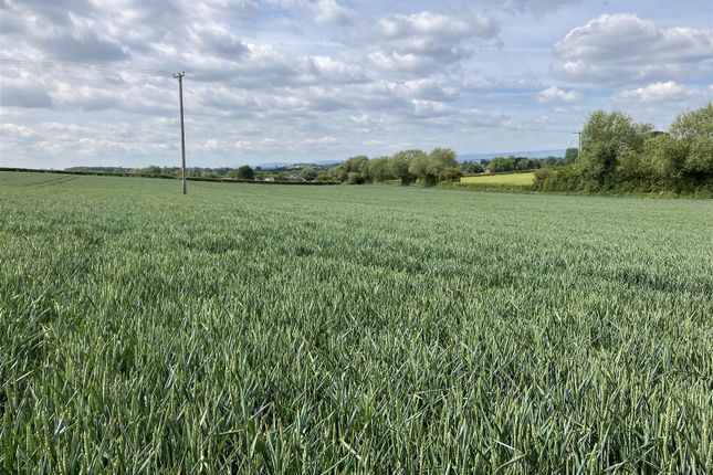 Land for sale