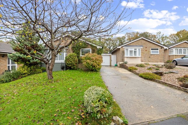 Pitsham Wood, Midhurst GU29 3 bed detached bungalow for sale