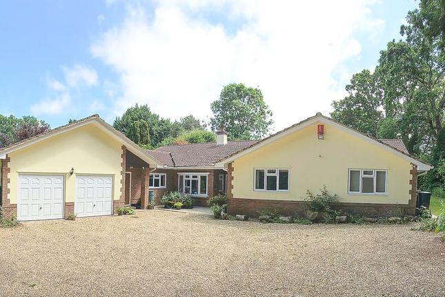 Broadlands Road, Brockenhurst, SO42 4 bed bungalow for sale
