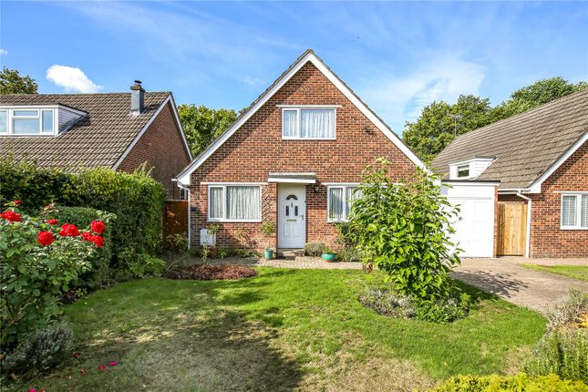 Beech Grange, Landford, Salisbury... 3 bed detached house for sale