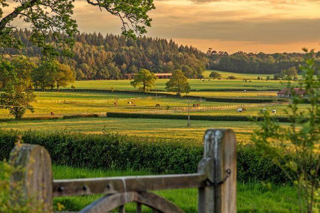 Dores Lane, Romsey, SO51 Land for sale