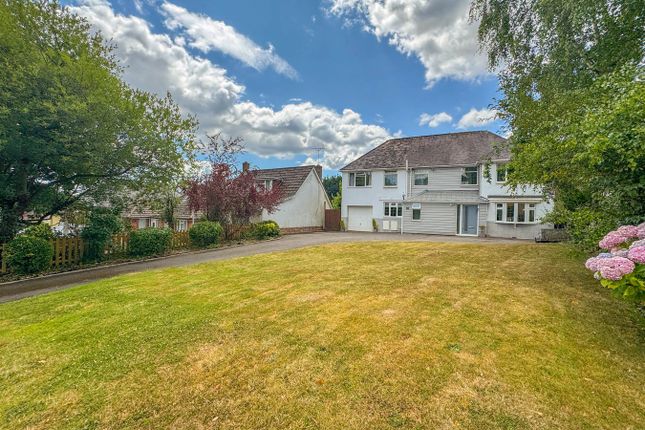 Middlehill Road, Wimborne, BH21 4 bed detached house for sale