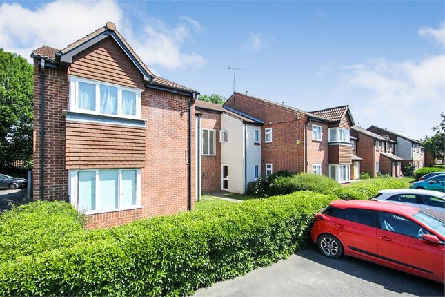 1 bed flat