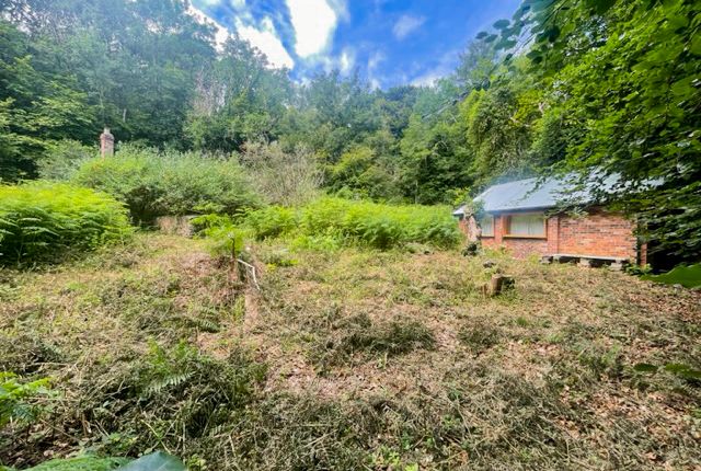 Minepitts Lane, Symonds Yat West 3 bed property with land for sale
