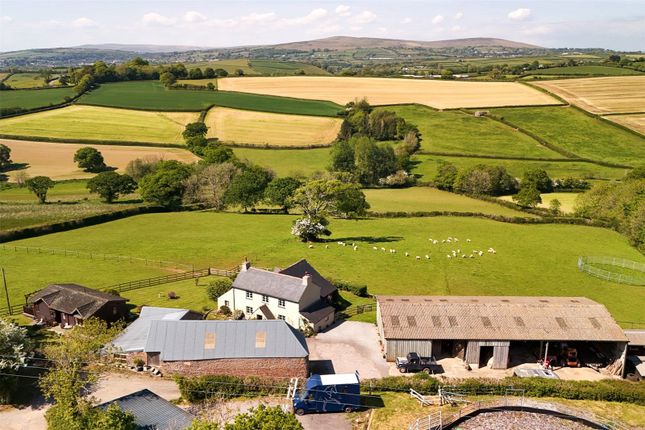 Equestrian facility for sale
