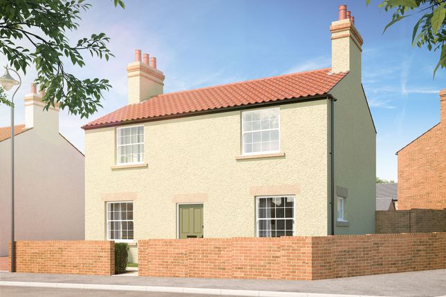 The Rickleton at Hedworths Green at... 3 bed detached house for sale
