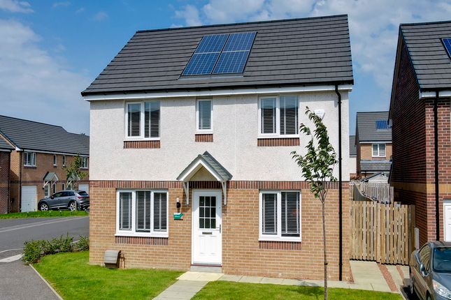Plot 95, The Kenmore at Snowdon Gait... 4 bed detached house for sale
