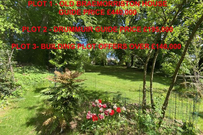 Plot for sale