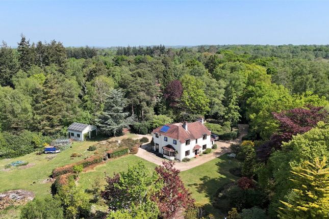 Hale Purlieu, Fordingbridge... 4 bed detached house for sale