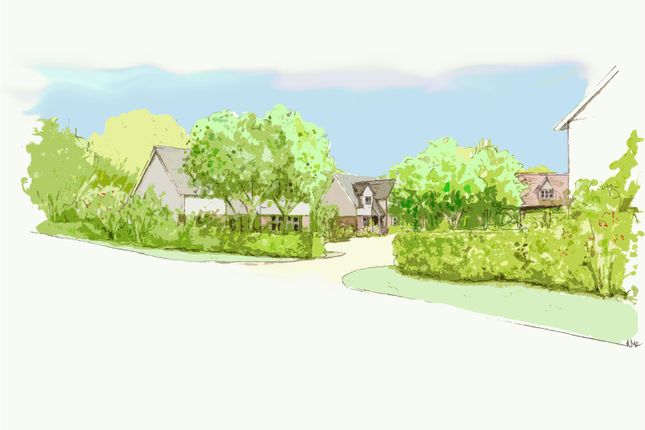 Plot for sale