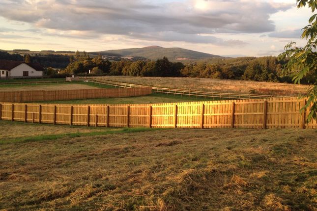 Tombain Farm, Aberlour, Morayshire, AB38 3 bed property with land for sale