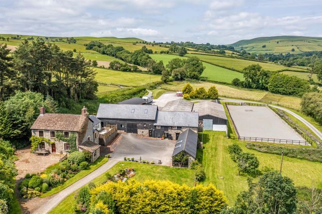 3 bedroom smallholding for sale