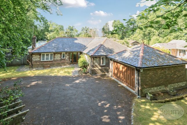 The Avenue, Rowledge, Farnham... 4 bed detached house for sale