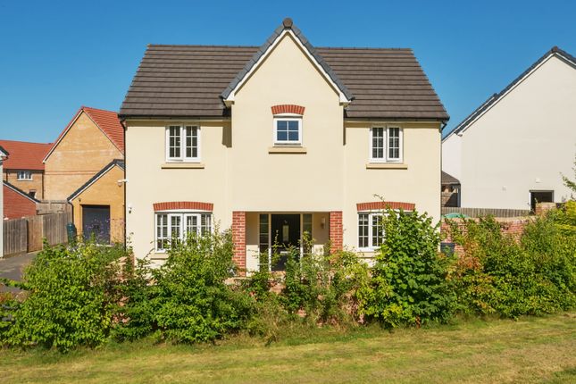 Wolstonian Way, Barnstaple EX31 4 bed detached house for sale