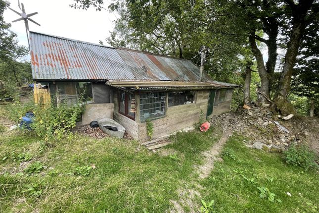Smallholding for sale