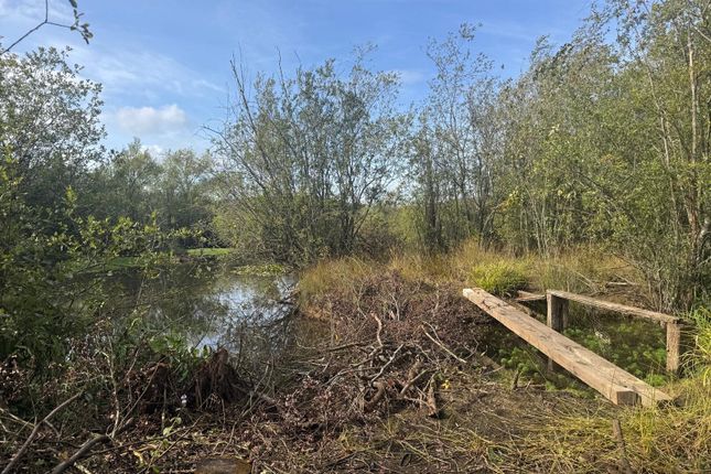 '  The Fishery ' Bunny Lane, Romsey... Land for sale
