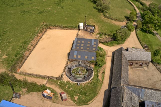 1 bed equestrian