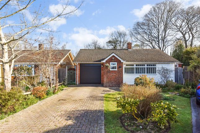 Whitebeam Close, Horndean 2 bed detached bungalow for sale