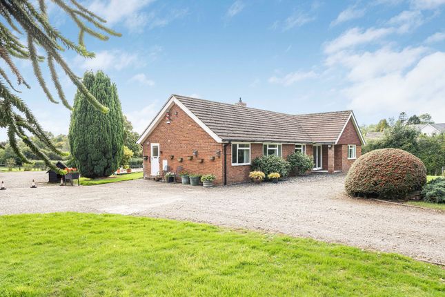 Petersfield Road, Monkwood... 4 bed bungalow for sale