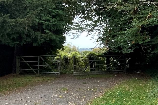 Land for sale