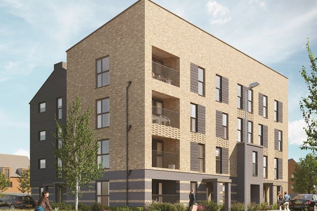 1 bed flat