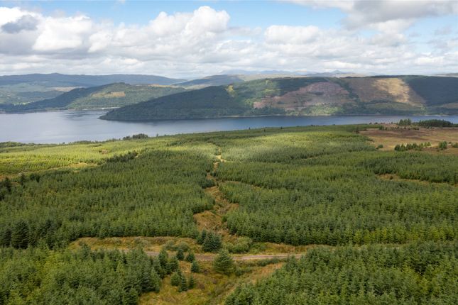 St. Catherines Forest, Cairndow... Land for sale