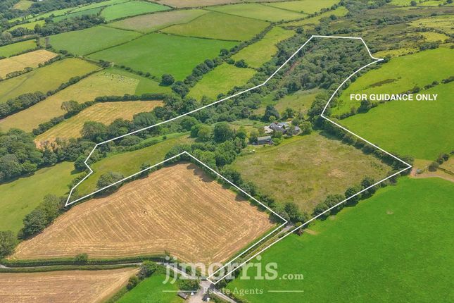 Crymych 3 bed property with land for sale