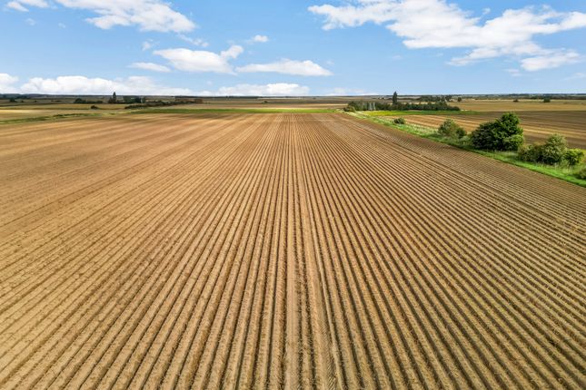 Morton Fen, Morton, Bourne... Land for sale