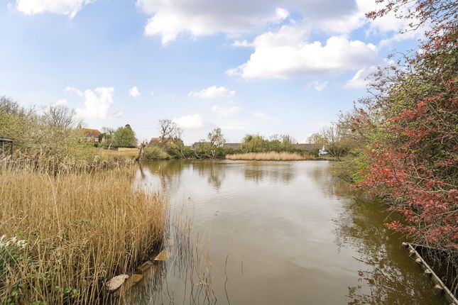 Harbour Farm, Winchelsea TN36 Plot for sale