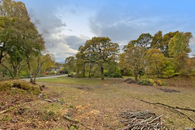 Plot for sale