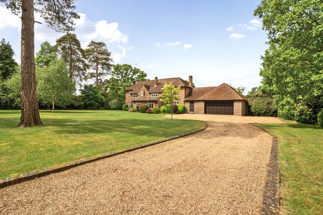 Thursley Road, Elstead, Godalming, GU8 6 bed detached house for sale