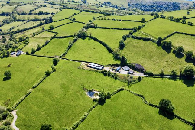 Talley, Llandeilo 8 bed property with land for sale