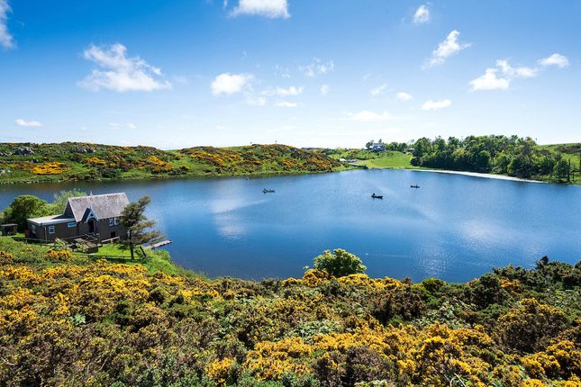 Coldingham Loch Fly Fishery & Holiday... 3 bed detached house for sale