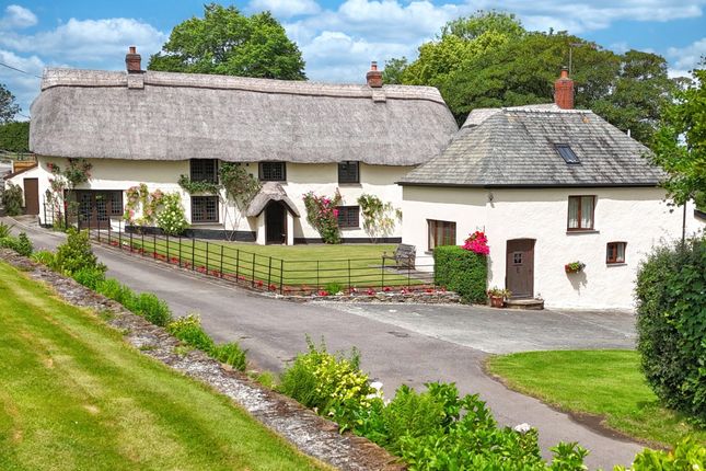 Milton Damerel, Holsworthy, Devon, EX22 5 bed detached house for sale