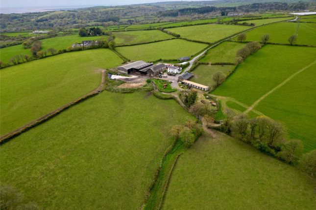 4 bed equestrian