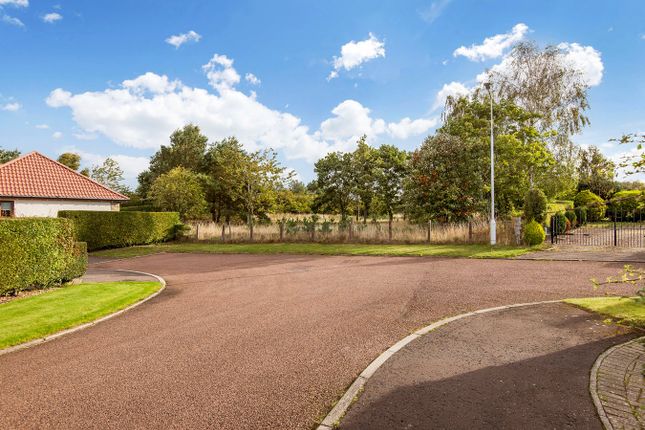 Plot for sale