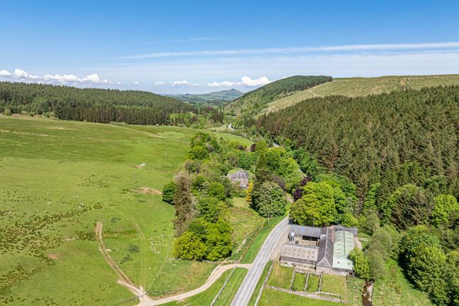 7 bed property