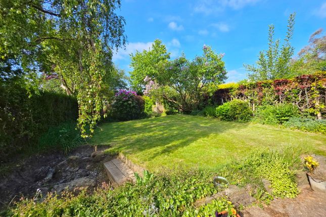 3 bed bungalow
