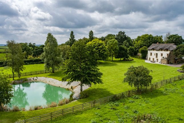 Petrockstow, Okehampton, Devon, EX20 5 bed equestrian property for sale