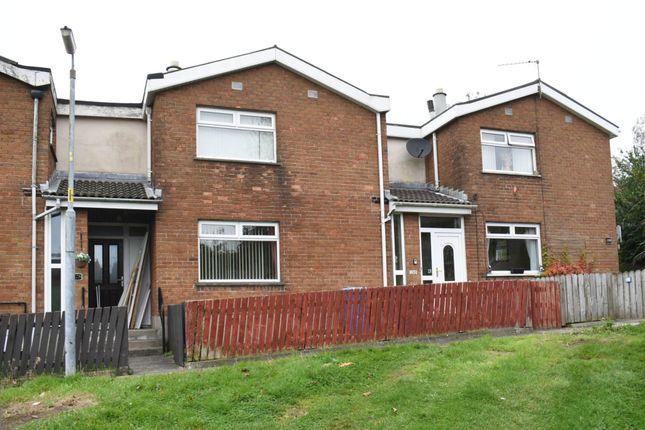 3 bed terraced house