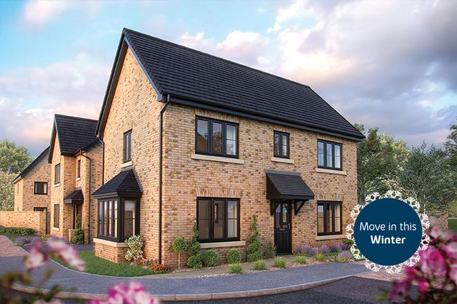 Plot 88, The Spruce at Cotterstock... 3 bed detached house for sale