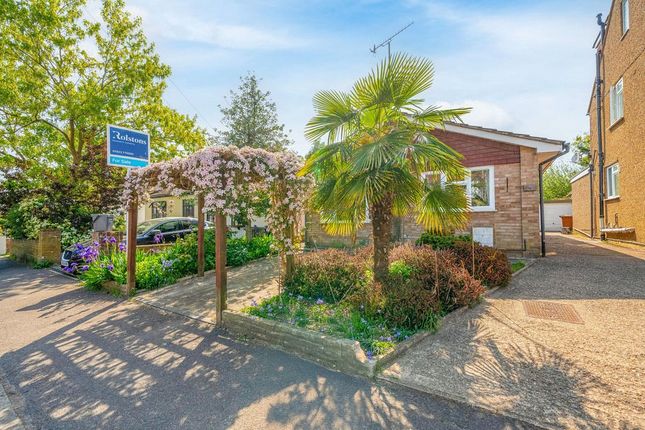 2 bed bungalow