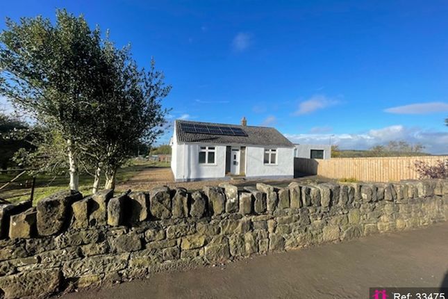 2 bed detached bungalow