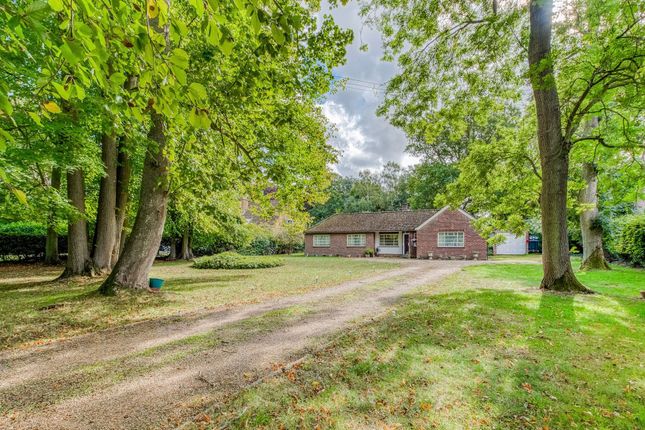 Livermere Road, Bury St. Edmunds IP31 3 bed detached bungalow for sale