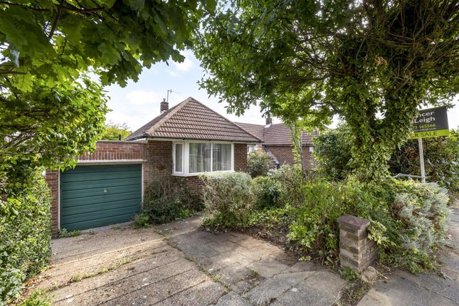 Hillcrest, Westdene, Brighton 3 bed semi