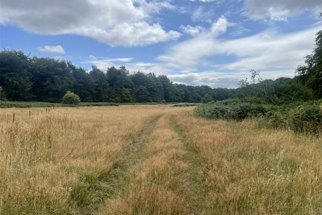 Buckshaft, Cinderford, GL14 Equestrian property for sale